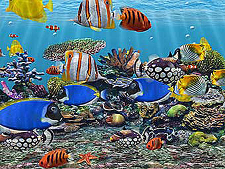 Bakgron Aquarium 3d Kostenlos