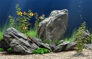 Dream Aquarium 3D Screen Saver
