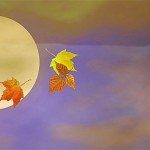 Herbstlaub - Herbst Screensaver