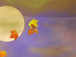 Herbstlaub – Herbst Screensaver