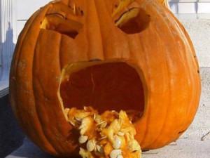 Halloween Kuerbis – Pumpkin Saver