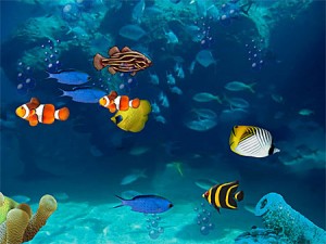 Aquarium kostenlos – Freeware Screensaver