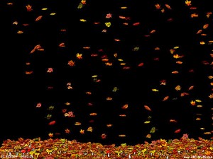 Herbst freeware Herbstlaub Bildschirmschoner